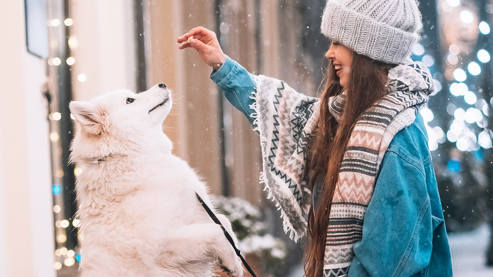 Jak dbać o psa i kota zimą?