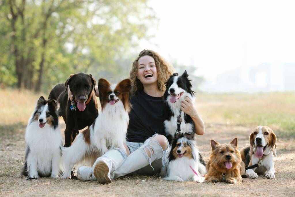 Średnie rasy psów Psy ras średnich z opiekunką na spacerze