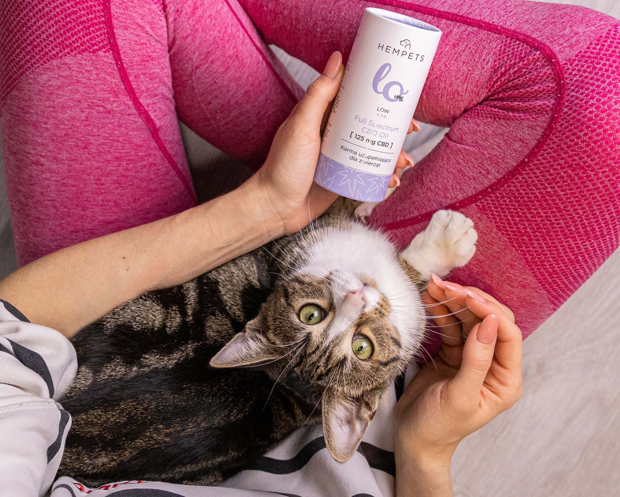 Kot na kolanach opiekunki, trzymającej olej CBD dla kotów Hempets™, patrzy do góry